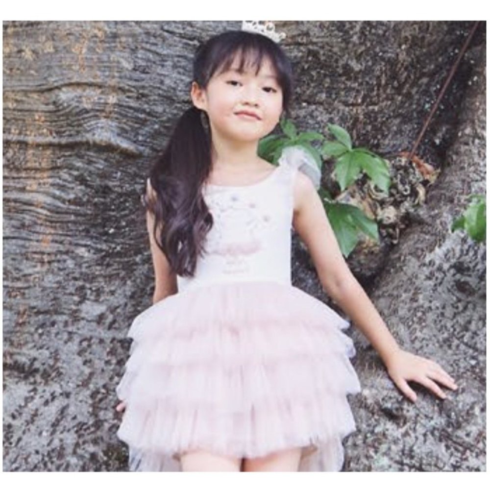 Hippo Dress in Blush